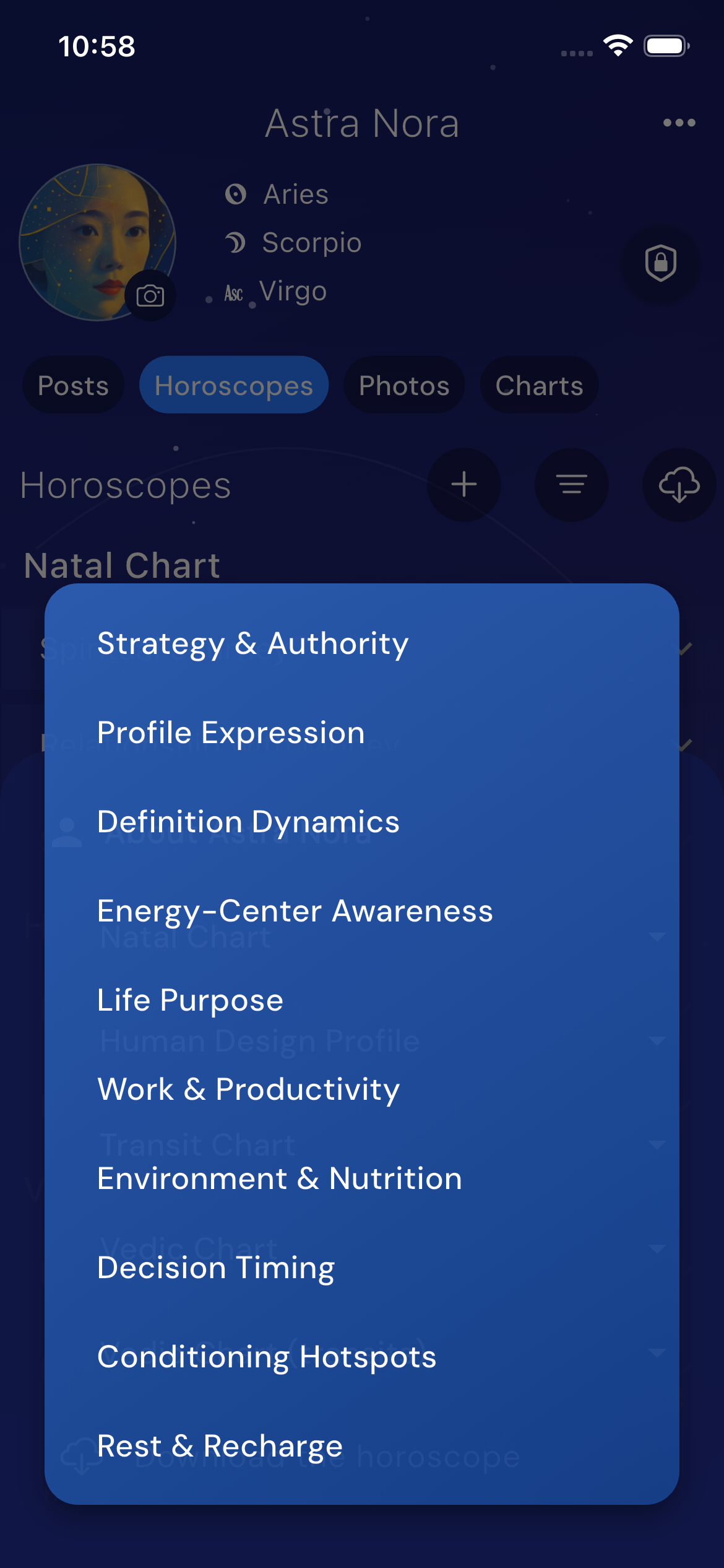 Human Design horoscope sections