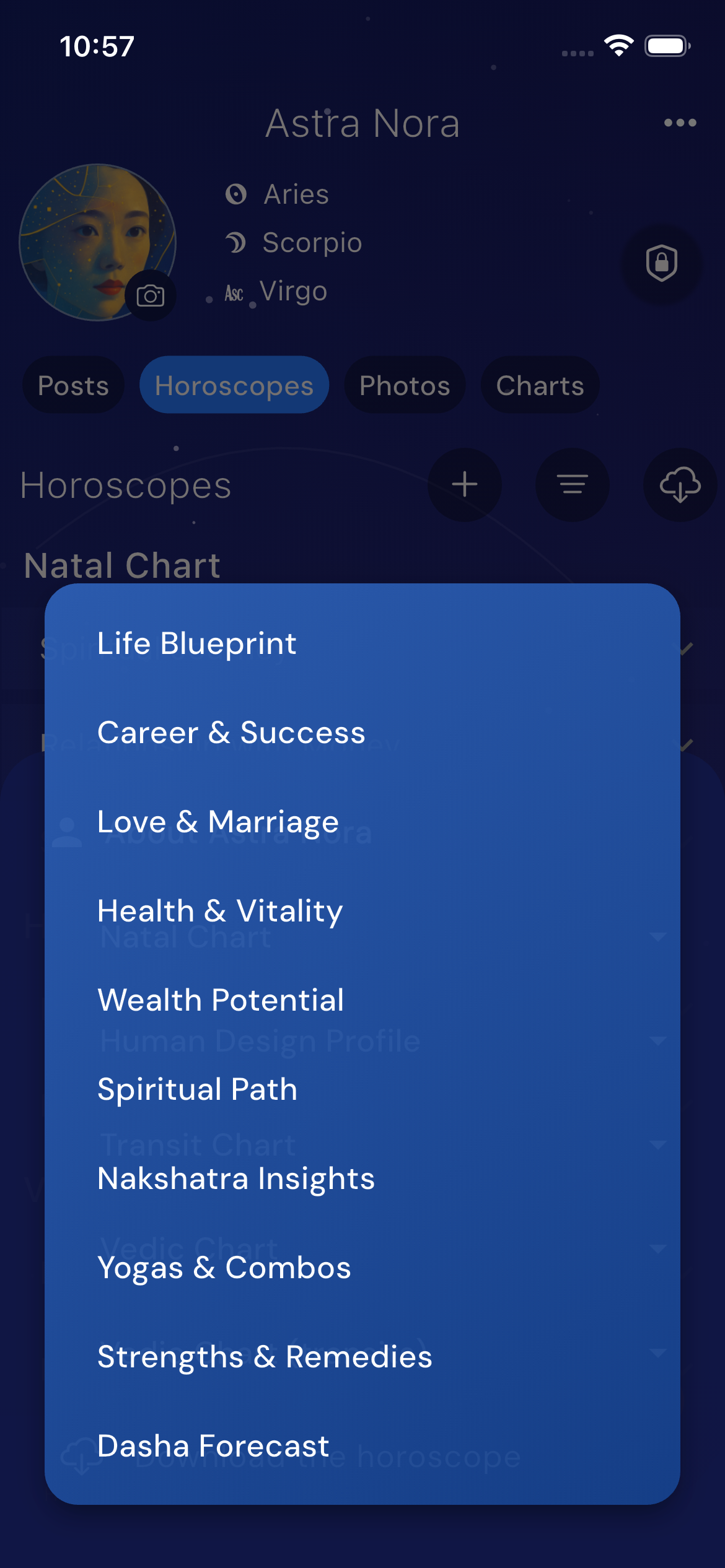 Vedic horoscope sections
